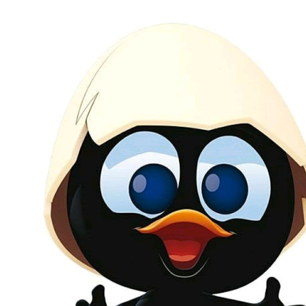 Kalimero Kombi Prevoz